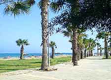 McKenzie Beach view