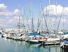 Image of sailing boats at a Larnaca marina