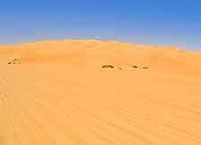 Zallaf Sand Dunes image