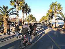 Photo of local cyclists