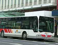Image of local bus transport