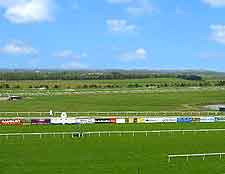 Limerick Racecourse view