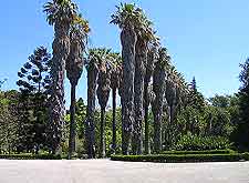 View of the Jardim Museu Agricola Tropical (Tropical Gardens)