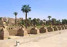 Luxor Airport (LXR) Travel, Transport and Car Parking: Photo showing the Avenues of the Sphinxes