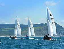 Further picture of sailing regatta