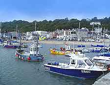 Photo of the Harbour in Lyme Regis