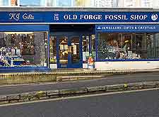 Image of the Old Forge Fossil Shop