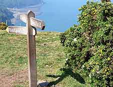 Coastal image showing signposts