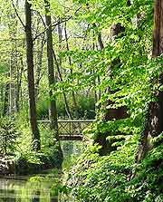 Photo of woodland gardens at the Parc de la Tete de l'Or