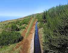 Levada image