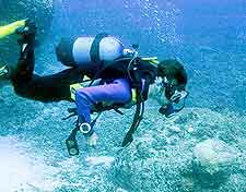 Further picture of scuba diving