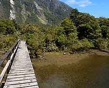 Photo of wooden footbridge at Milford Sound