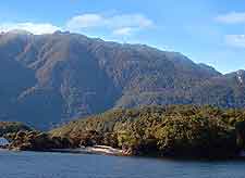 Picture of Te Anau Lake, south of Milford Sound