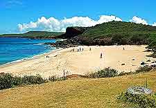 Kawakiu Beach picture