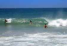 Picture of seasonal surfers enjoying the strong waves