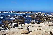 Photo of Monterey coastline
