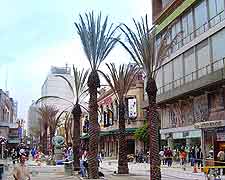 Picture of Monterrey city centre and shops