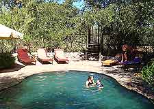 Photo of swimming pool at lodge located within the Etosha National Park