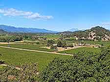Napa Valley Vineyards and Wineries: Further view