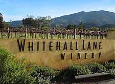 Napa Valley Vineyards and Wineries: Photo of the Whitehall Lane Winery