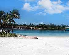 Image of the Dolphin Cay attraction on Paradise Beach Drive