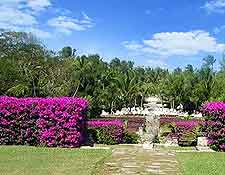 Picture of flowering bougainvillea at the Versailles Gardens, Ocean Club Drive, Paradise Island