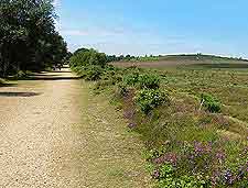 Countryside image, showing pathway