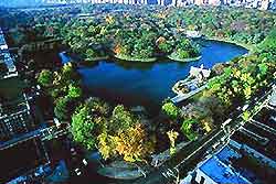 Aerial view of Central Park in New York