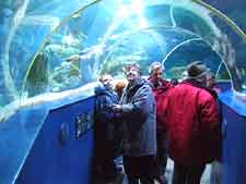 Visitors enjoying the underwater attractions at Newquay's Blue Reef Aquarium