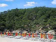 Image of sunbathers lining the beach