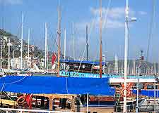 Image of yachts docked at the harbour