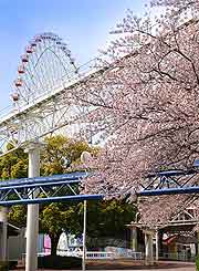 Osaka Tourist Attractions: Expoland theme park view