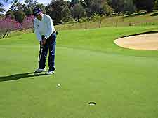 Newcastle Area Golf Courses