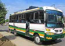 Photo of local bus in the city centre