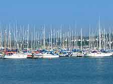 Picture of sailing boats in the harbour
