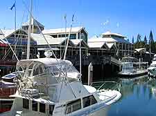 Further marina picture