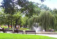 Karlovo Namesti Park picture