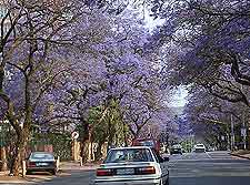 Photo of local road