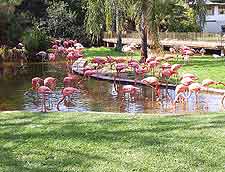 National Zoological Gardens of South Africa photograph