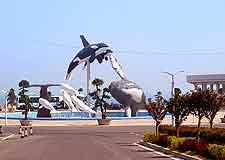 Image of Ocean Park