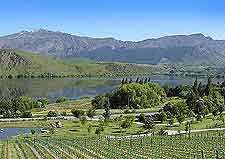 Winery image, overlooking Lake Wakatipu