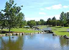 Picture of the city's Botanical Garden (Grasagarourinn i Laugardal)