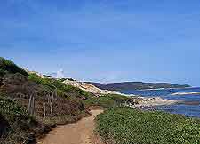 Photo of coastal hiking trail