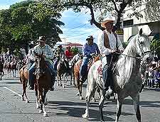 Photo of horse procession in the city