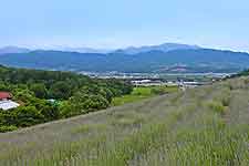 View of Takikawa