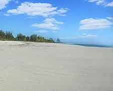 Picture of sandy beachfront on Bird Island