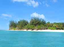 Photo of Denis Island's sandy coastline