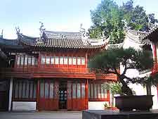 Photo showing bonsai tree at Yu Yuan Gardens
