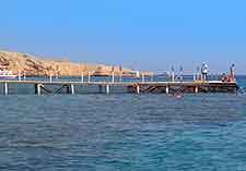 Picture of Naama Bay