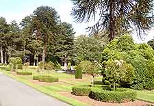 Picture showing the formal gardens at Brodsworth Hall